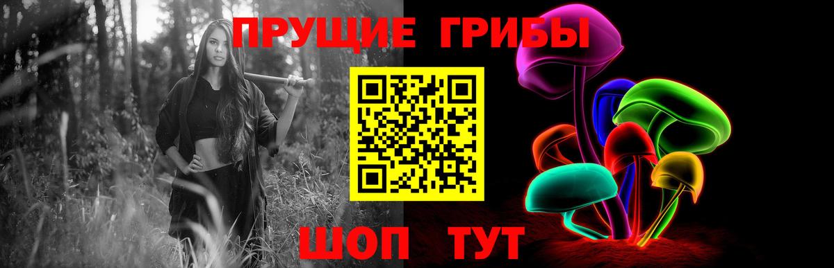 Старая Русса  где можно купить   Вход с VPN  Псилоцибиновые грибы MAGIC MUSHROOMS 